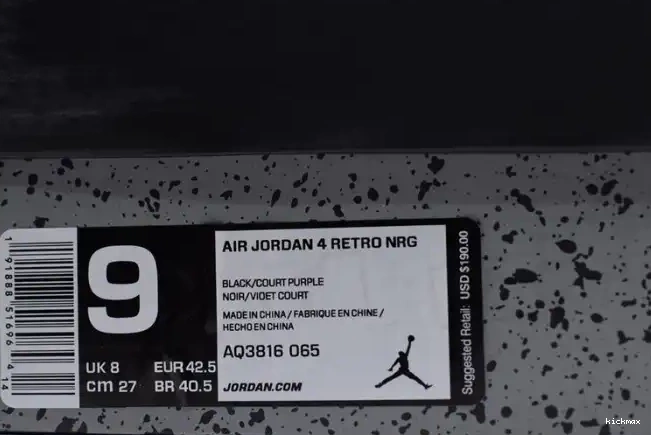 Cheap MAX Jordan Raptors